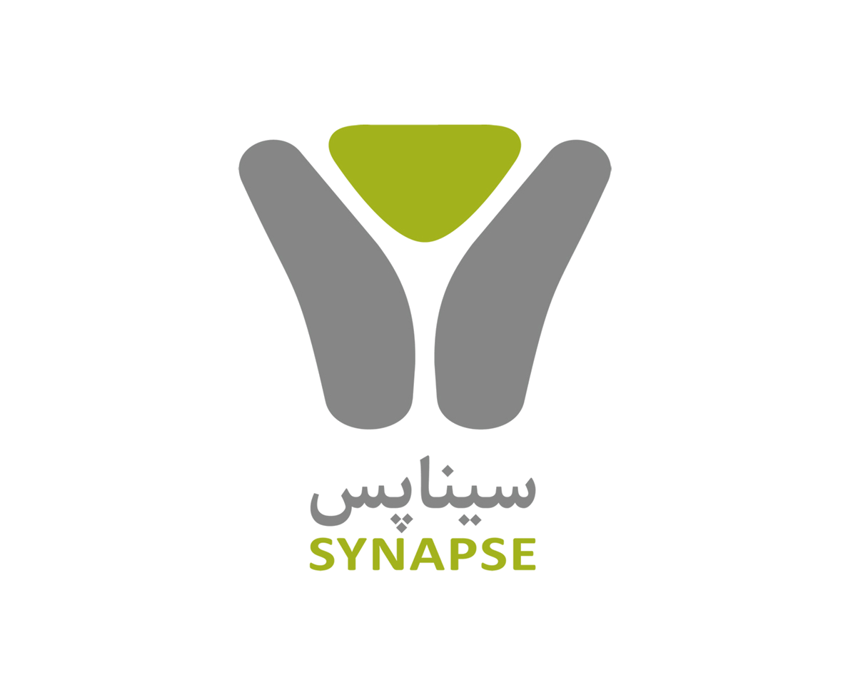 Synapse Accelerator